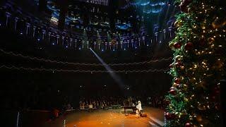 Freya Ridings - Christmas In Your Arms (Live at the Royal Albert Hall)