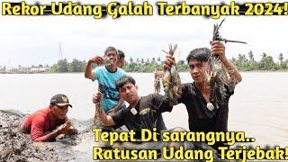 GAK PERNAH GAGAL! PULUHAN UDANG GALAH MONSTER TERCIDUK DI PERANGKAP PINGGIR SUNGAI