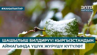 ШАШЫЛЫШ БИЛДИРҮҮ! КЫРГЫЗСТАНДЫН АЙМАГЫНДА ҮШҮК ЖҮРҮШҮ КҮТҮЛӨТ