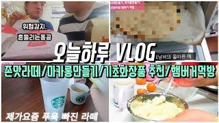 [대충사는 vlog] 이쯤되면 마카롱 성공할 생각이 없어보인다..뭐라도 해보자!