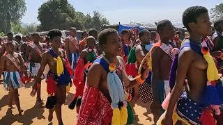 Dancing maidens at Umhlanga (Reed Festival) in Eswatini (2019)