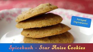 How to Bake Spicebush Berry - Star Anise Cookies with the Edible Berries of Lindera benzoin