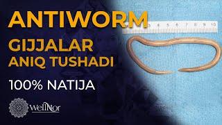 ANTIWORM. Gijjalar aniq tushadi 100%. #wellnor #antiworm