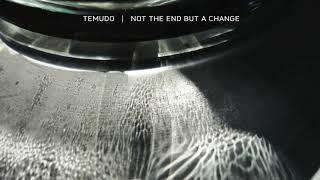 Temudo - The Beholder