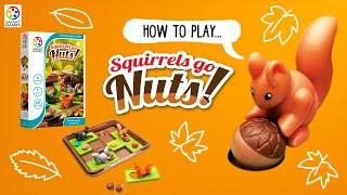 How to play Squirrels Go Nuts! - SmartGames