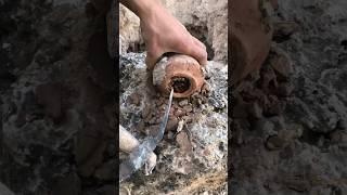 treasure hunter with metal detecting / archeology / كنوز ودفائن #gold