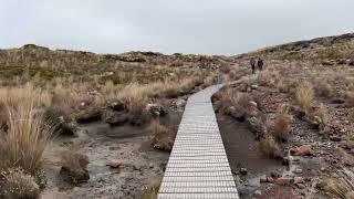 PEAI - Alpine Plodders - Taranaki Falls/Tama Lakes Trail