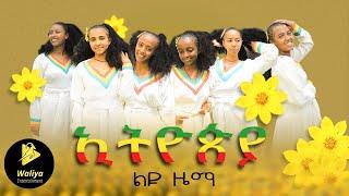 Ethiopian Music : Liyu Zema ልዩ ዜማ (ኢትዮጲያ) Ethiopian new year Music | Enkutatash Music | Yebeal Music