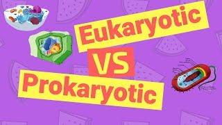 Difference Between Prokaryotic and Eukaryotic Cells