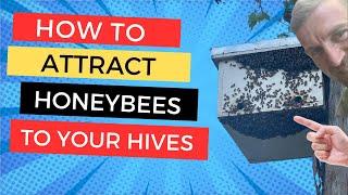 Ako vnadíme a umiestňujeme včelie úle, aby sme každoročne prilákali stovky rojov