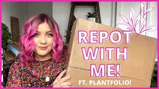 REPOT WITH ME FT. PLANTFOLIO! | MARCH 2021