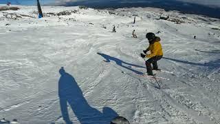 Snowbird @ Turoa Ski Feild. Mt Ruapehu