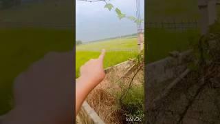 #wania #minivlog #vlog