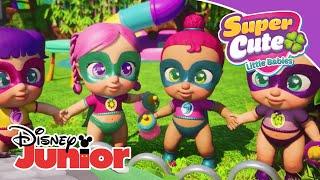 Super Cute Little Babies: Enredos en el Polo Norte | Disney Junior Oficial