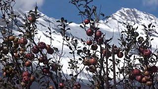 Harsil Uttarakhand | A Beautiful Documentary | Heavenly journeys