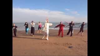 Wu Qin Xi - Five Animals Qi Gong - Il Gioco dei Cinque Animali - 五禽戏 气功 - M° G. Paterniti