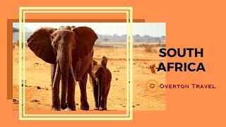 South Africa Throwback Memories with Overton Travel