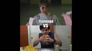 John roblox VS flamingo
