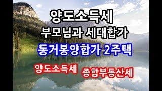 동거봉양합가 2주택 3주택 10년이내 양도소득세비과세조건 종합부동산세