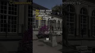 Ответ на все ваши чувства! #страх #лень #ревность #амбиции