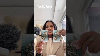 Yes Or No Tarot Ask Your Question, The Spirit Will Answer You In Yes No Manner #timeless #tarot