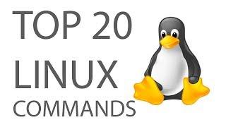 You Must Know 20 Important Linux Commands