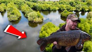 Carp fishing a mature old pit