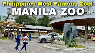 What’s New at MANILA ZOO? A Complete Tour of the Philippines’ Most Famous Zoo!