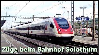 Zugsichtungen beim Bahnhof Solothurn | Kanton Solothurn | Schweiz 2024