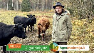 Darius Kavšinas ir „Wildfarm Labanoras“: kuriamas gamtai dirbantis ūkis