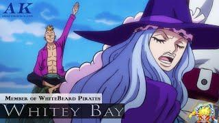 Whitey Bay | Member of Whitebeard Pirates | One Piece