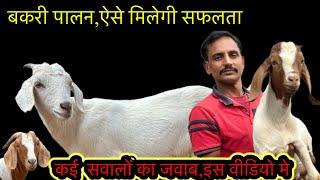 नये बकरी पालक। कैसे करें बकरी पालन | Goat Farming Business के लिए क्या क्या जानना होता है,जानें Goat