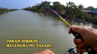 Mancing Dari Atas Jembatan ini tidak pernah boncos..!!!