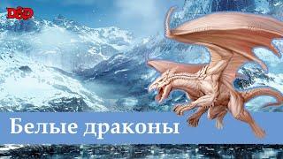 Кто такие белые драконы? | D&D Lore