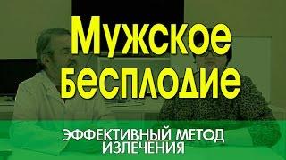 Мужское бесплодие. Как лечить? Эффективное лечение мужской дисфункции.