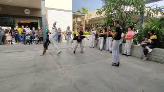 EXHIBICIÓN CAPOEIRA CORDÃO DE OURO MANGALOT CUERNA EN FÓRUM CUERNAVACA. JULIO 2022