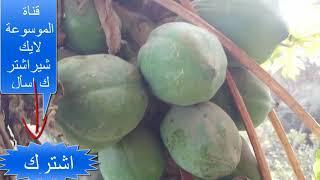 Free treatment for baldness, hair, peeling, tightening of the skin, wrinkles, constipation  joints
