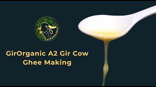 A2 Gir Cow Ghee made using Ayurvedic Bilona Method