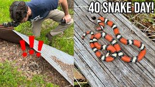 MORE Insane Louisiana Snake Hunting! Finding Rattlesnakes, Copperheads, and Milksnakes Under Tin!