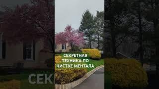 КАРМА ЧИСТИМ МЕНТАЛ ДЛЯ МАГИИ НА ЛИЧНОЙ СИЛЕ #высшаямагия #личнаясила #магия #ритуалы #обучениемагии