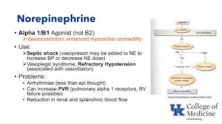 Basic Cardiovascular Pharmacology (Schell)