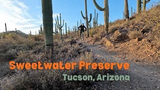 Sweetwater Preserve MTB Trail Ride in Tucson, Arizona