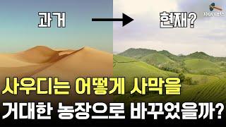 놀라운 사막의 변신, 사막에서 농사를 짓는 사우디 이야기