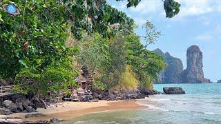  THAILEX VDO Krabi Monkey Trail: Coastal Views and Jungle Encounters