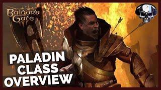 Baldur's Gate 3: Paladin Class Overview