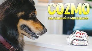 Робот COZMO с искусственным интеллектом - маленький и миленький домашний питомец [обзор]