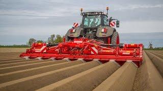 GRIMME GF 800 | 8-row Rotary Hiller