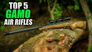 Top 5 Best Gamo Air Rifles - Madman Review