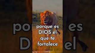 Dios se levantará a tu favor #shorts #youtubeshorts #shortsvideo #reflexiones