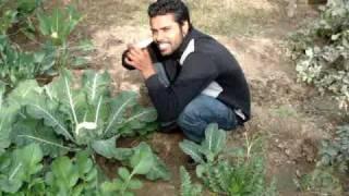 punjabi funny clip -vikram malout-(98141-71064)